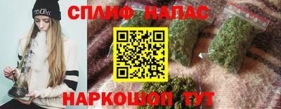Альфа ПВП Можга