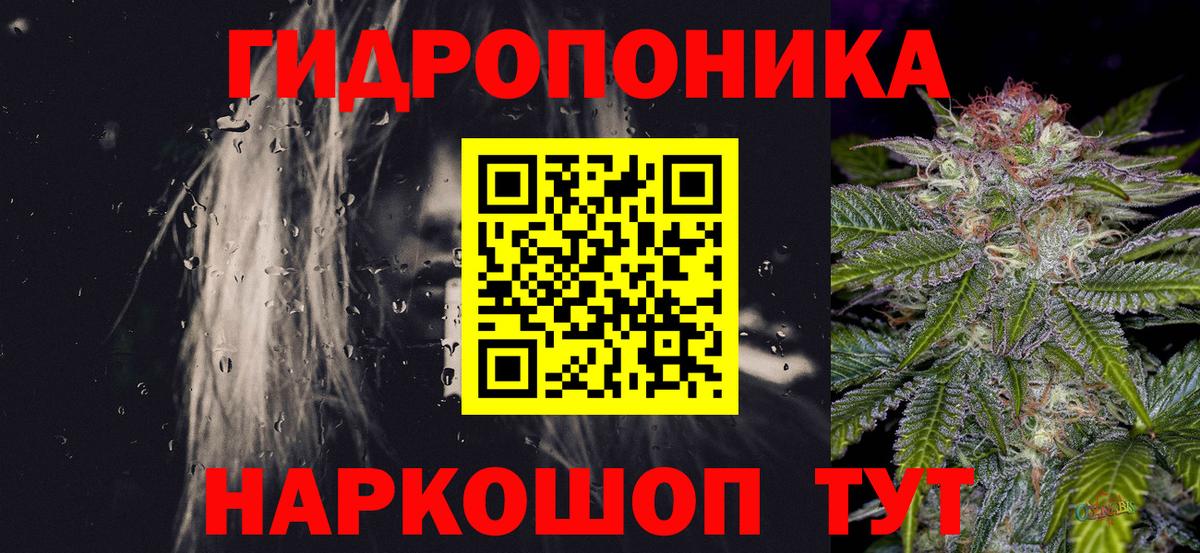 Шишки марихуана гибрид  Вход с VPN  Шишки марихуана MAZAR  Волгодонск  Марихуана Bruce Banner  Марихуана сатива 